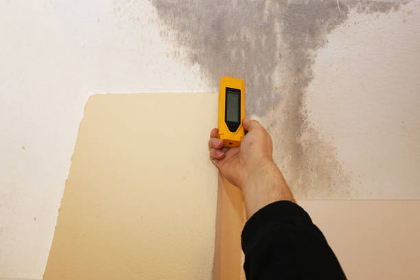 Best Air Quality Testing for Mold Spores  in Fountain Green, UT