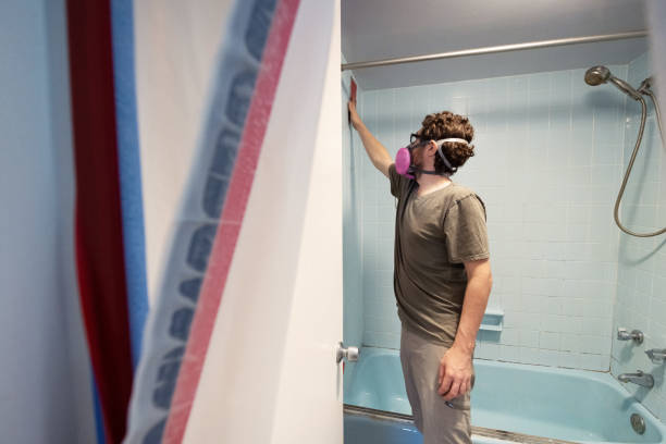 Professional Mold Removal in Fountain Green, UT