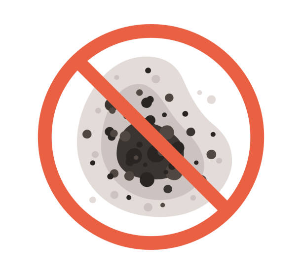 Best Mold-Related Health Consultation  in Fountain Green, UT
