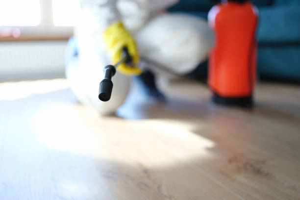 Environmental Consulting for Mold Prevention in Fountain Green, UT