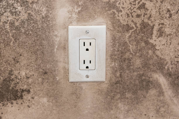 Best Biohazard Mold Removal  in Fountain Green, UT