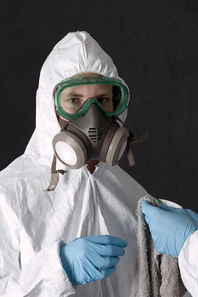 Best Emergency Mold Remediation  in Fountain Green, UT
